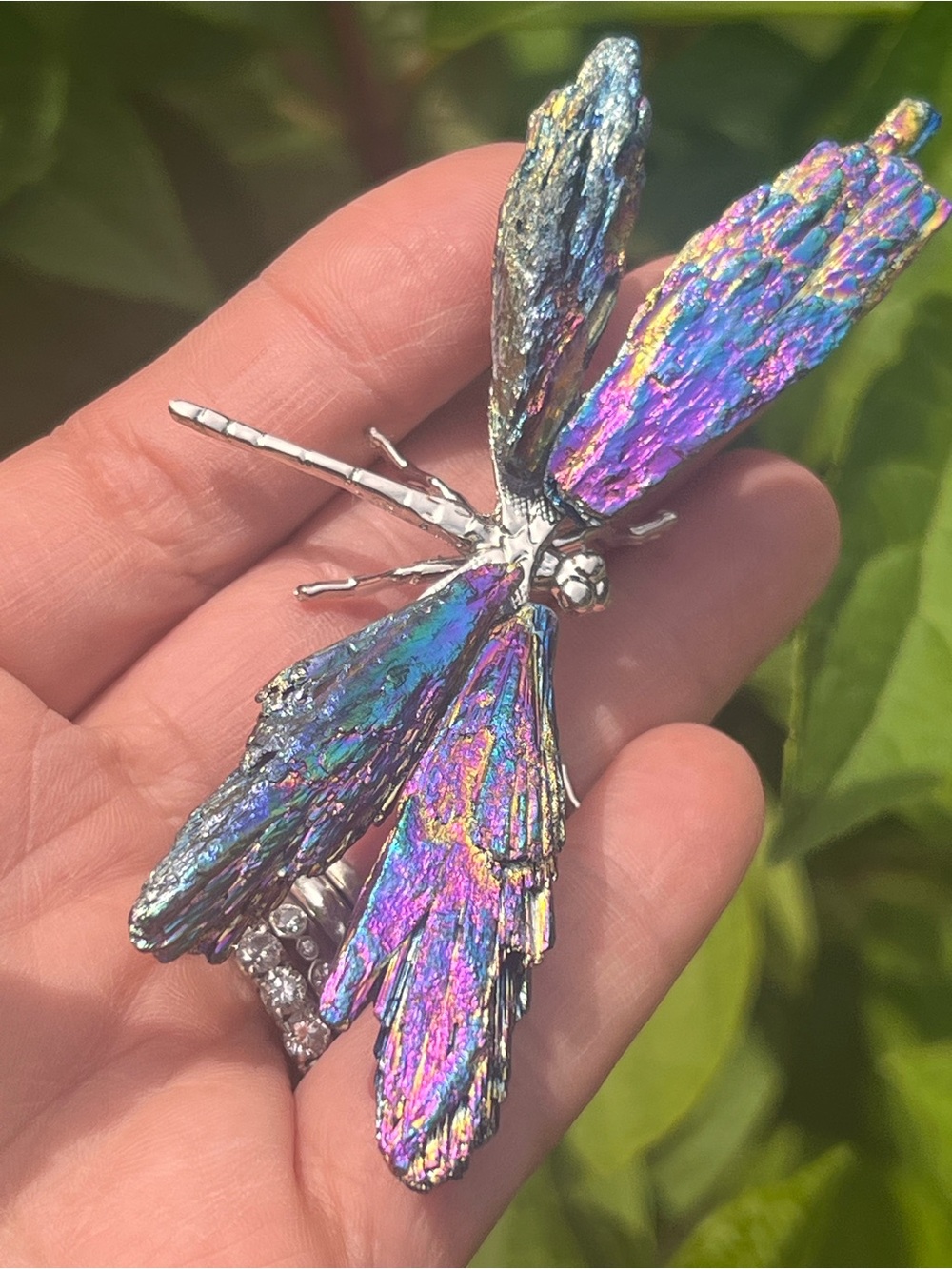 Aura (2) kyanite Dragonfly | crystal